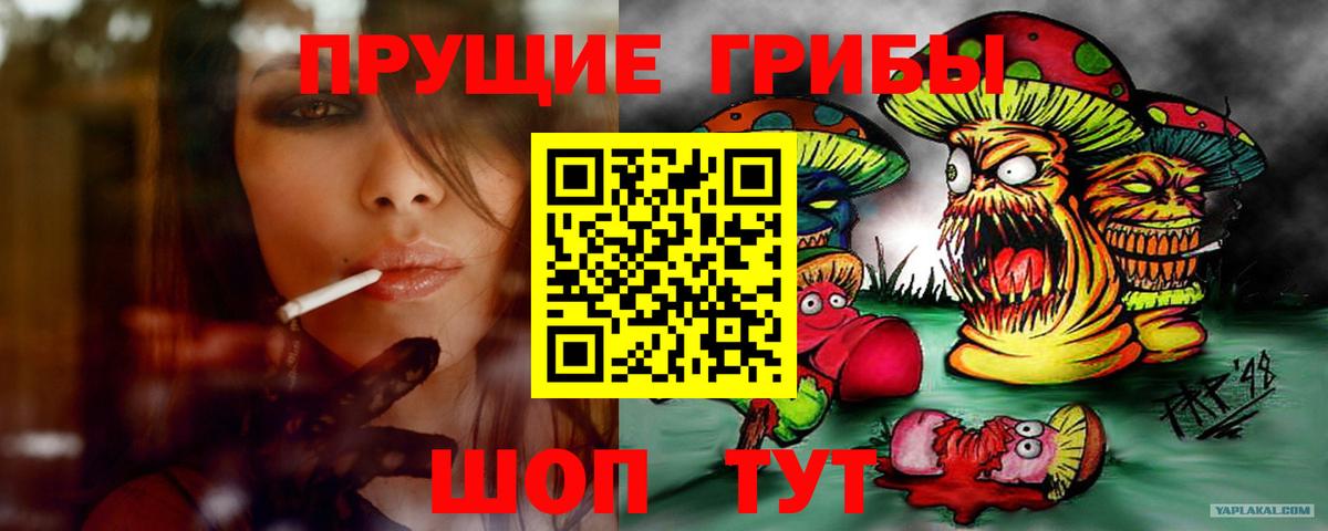 Галлюциногенные грибы мухоморы  Псилоцибиновые грибы мухоморы  Пугачёв  купить наркотики цена  Вход с VPN 